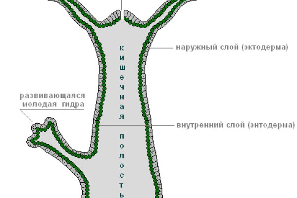 Мега кракен блэк спрут