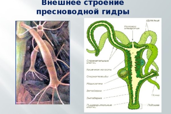 Кракен не работает