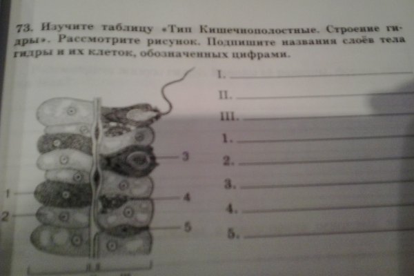 Сайты типа гидры