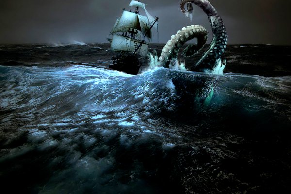 Kraken маркет whitenet только через tor скачать