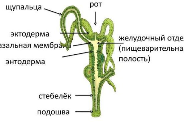 Ссылка в магазин на кракен