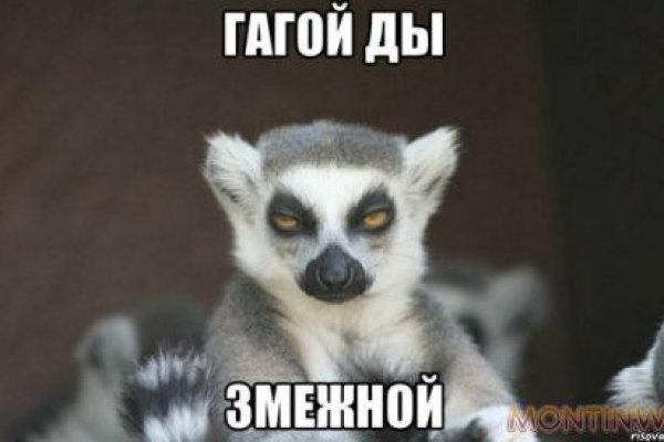 Kraken новая ссылка