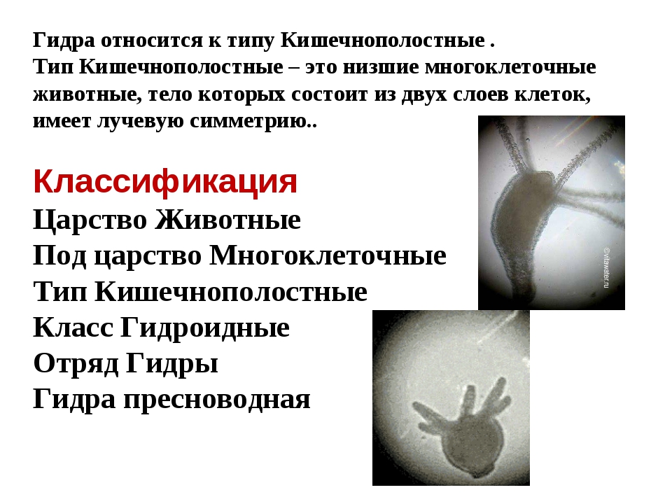 Кракен наркоман