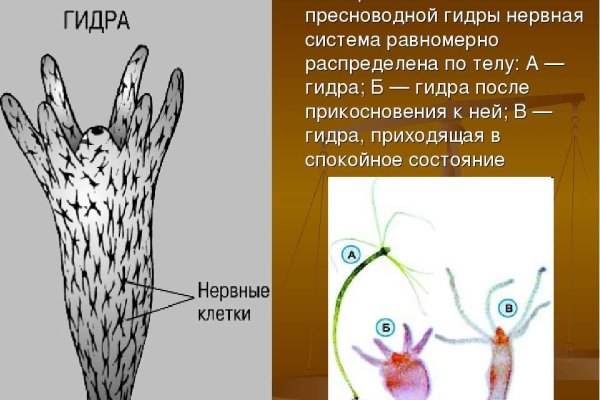 Найти ссылку кракен